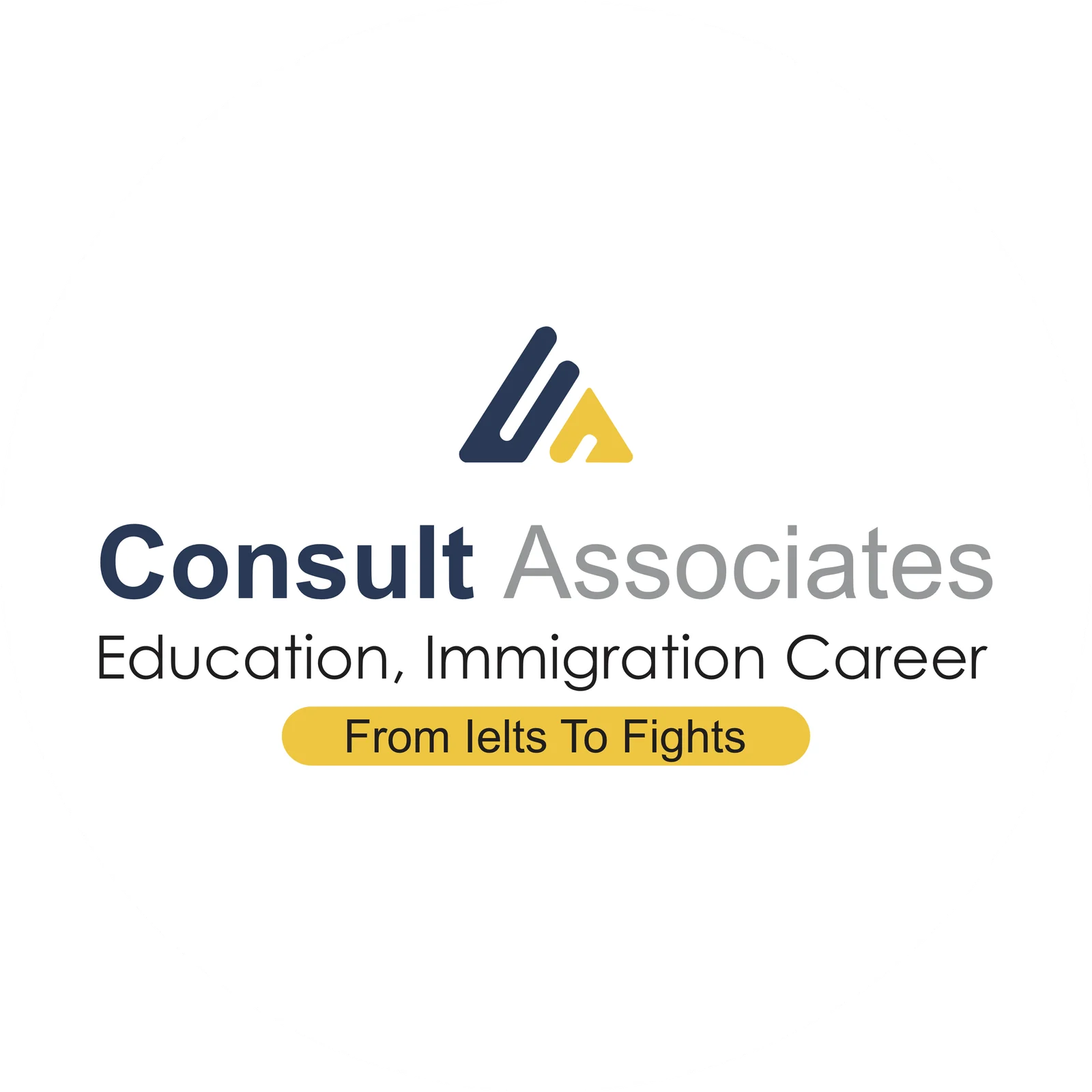 Consult Associates Pvt Ltd logo